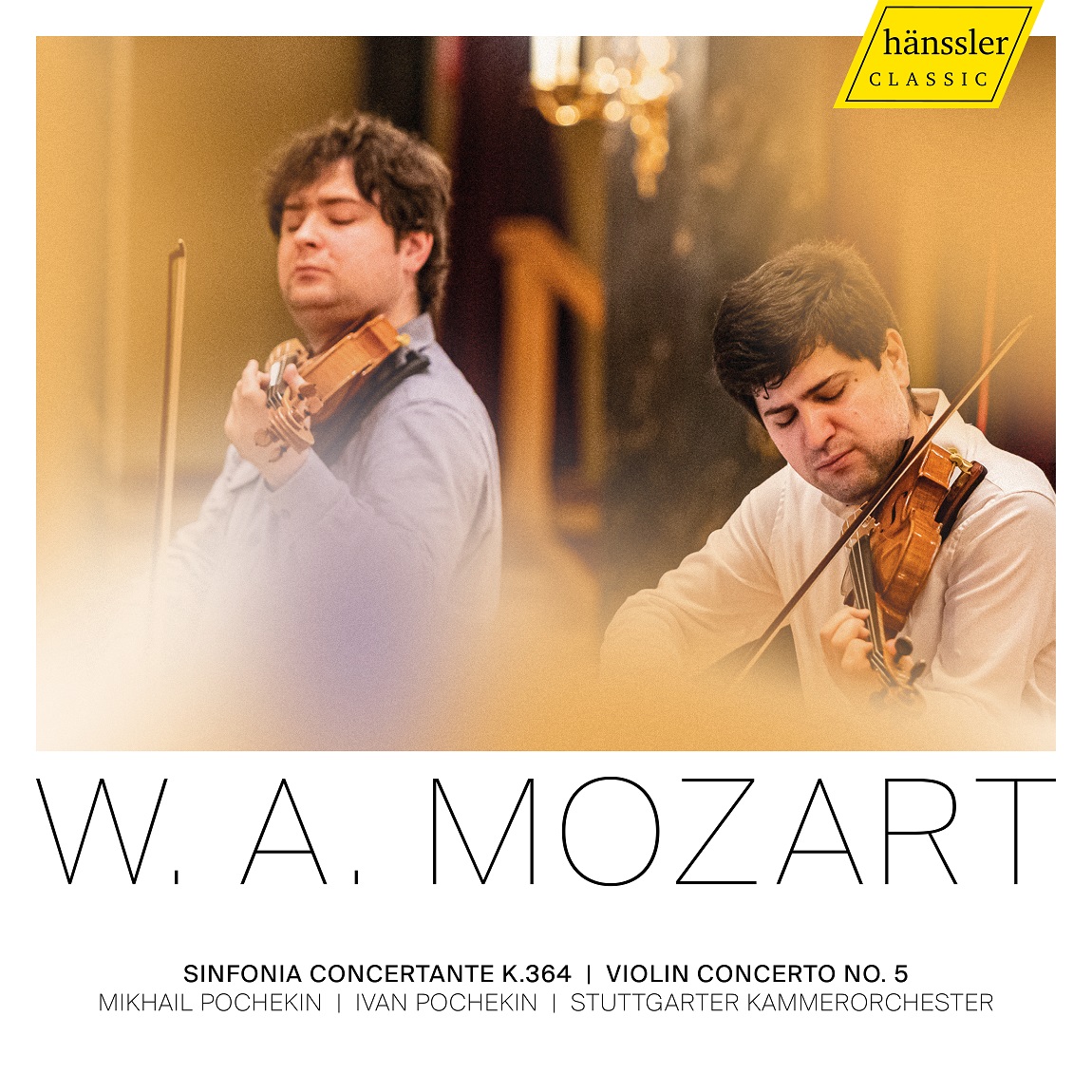 COVER_Pochekin_web