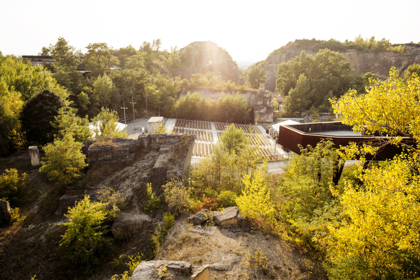 (c) Renee del Missier